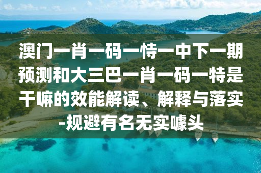 澳門一肖一碼一恃一中下一期預測和大三巴一肖一碼一特是干嘛的效能解讀、解釋與落實-規(guī)避有名無實噱頭